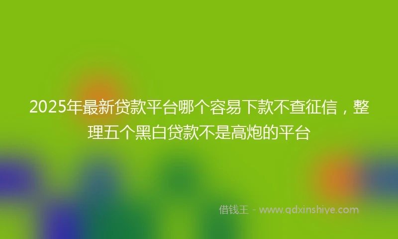 2025年最新贷款平台哪个容易下款不查征信，整理五个黑白贷款不是高炮的平台