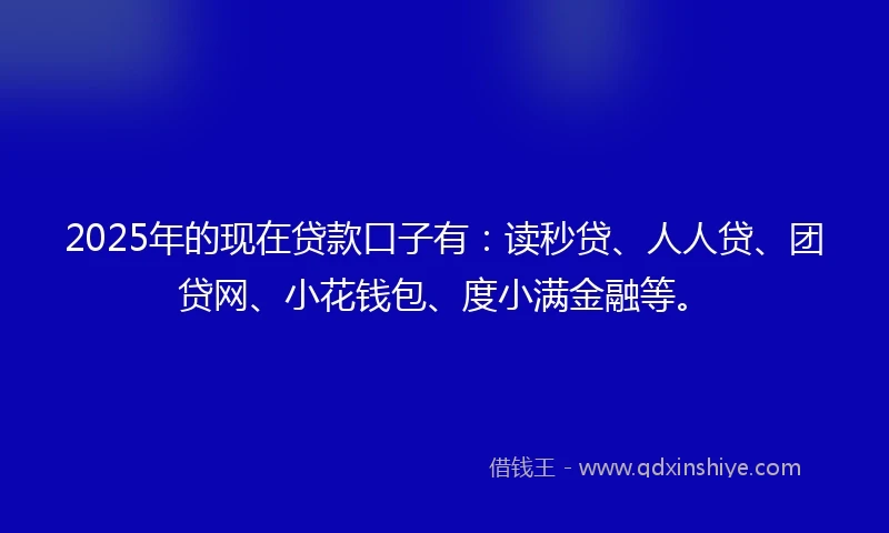 2025年的现在贷款口子有：读秒贷、人人贷、团贷网、小花钱包、度小满金融等。