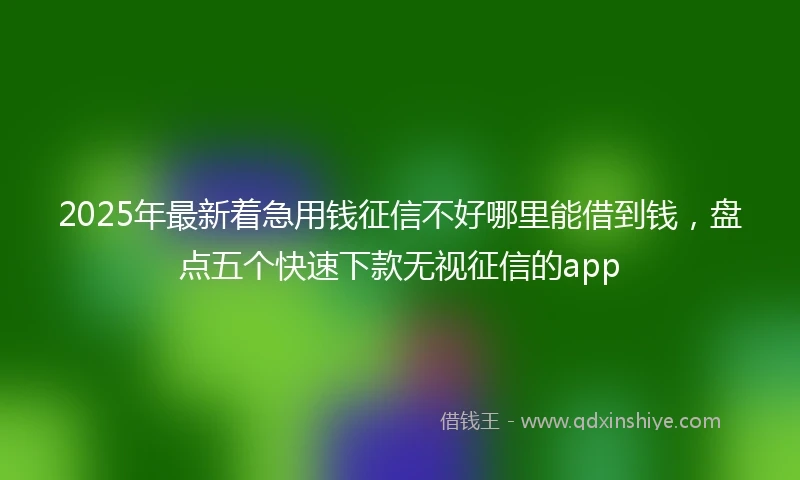 2025年最新着急用钱征信不好哪里能借到钱，盘点五个快速下款无视征信的app