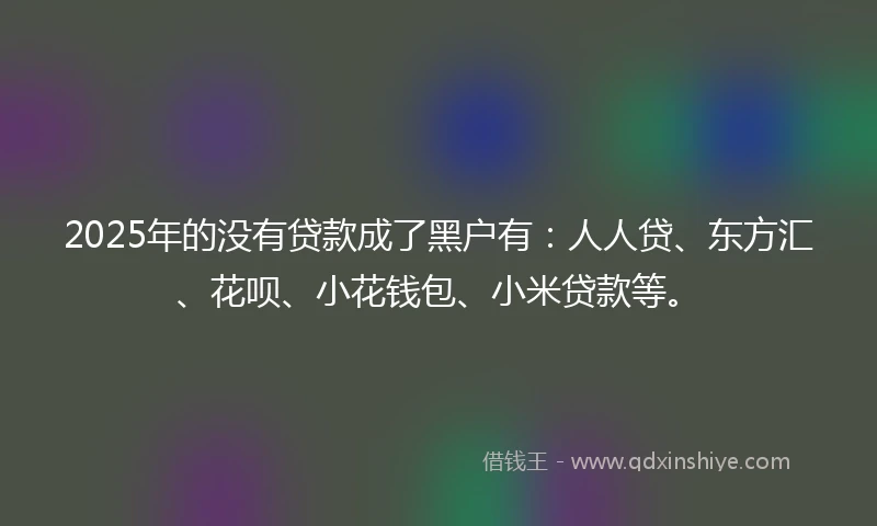 2025年的没有贷款成了黑户有：人人贷、东方汇、花呗、小花钱包、小米贷款等。