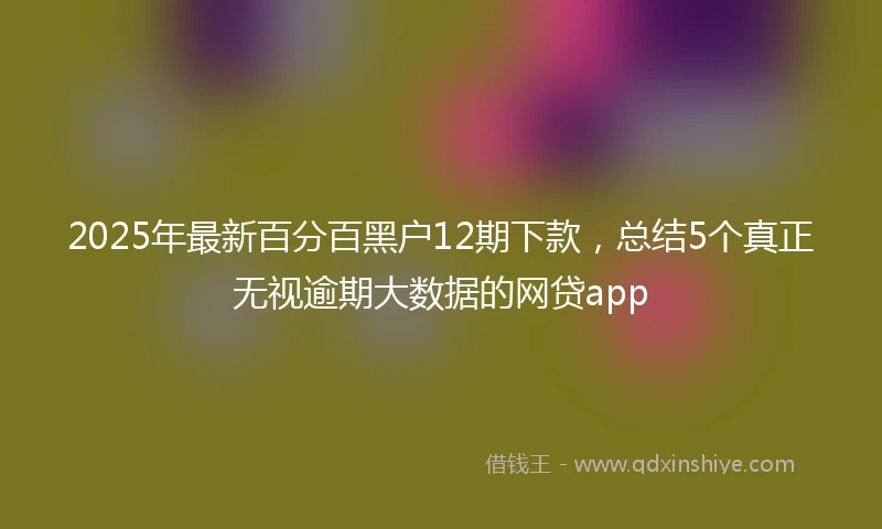 2025年最新百分百黑户12期下款，总结5个真正无视逾期大数据的网贷app