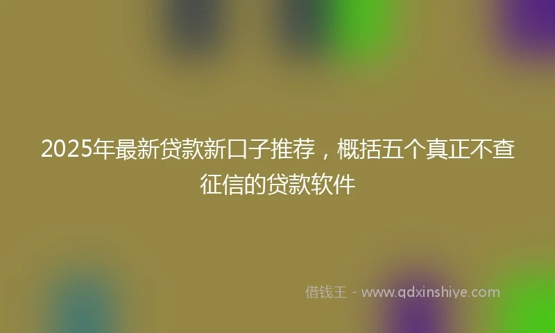 2025年最新贷款新口子推荐,概括五个真正不查征信的贷款软件