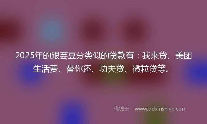 2025年的跟芸豆分类似的贷款有：我来贷、美团生活费、替你还、功夫贷、微粒贷等。