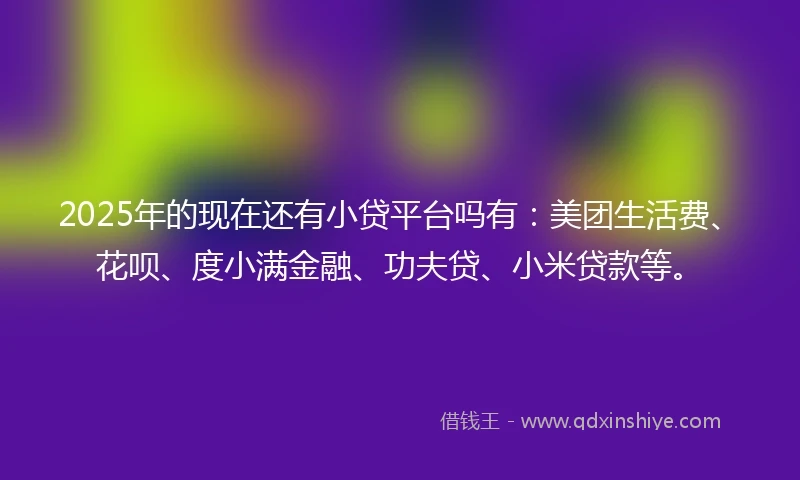 2025年的现在还有小贷平台吗有:美团生活费、花呗、度小满金融、功夫贷、小米贷款等。
