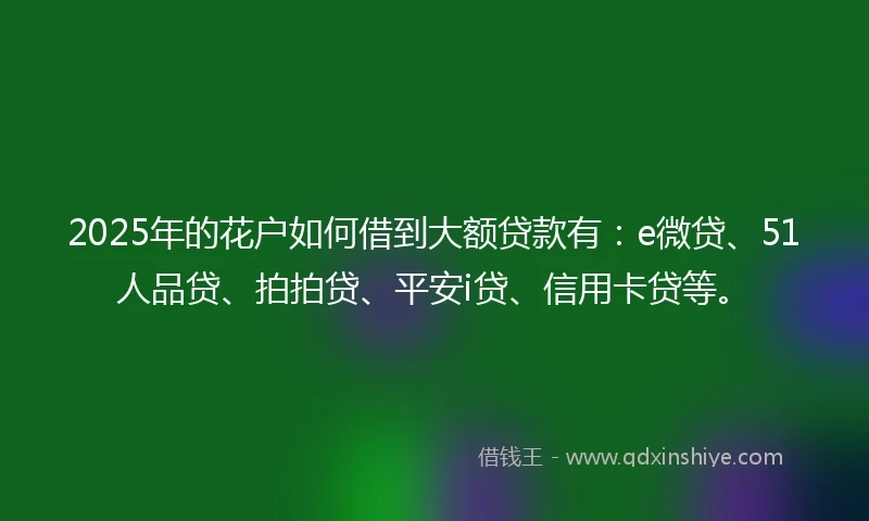 2025年的花户如何借到大额贷款有：e微贷、51人品贷、拍拍贷、平安i贷、信用卡贷等。
