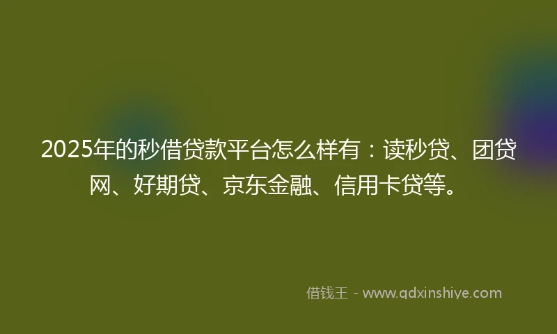 2025年的秒借贷款平台怎么样有：读秒贷、团贷网、好期贷、京东金融、信用卡贷等。
