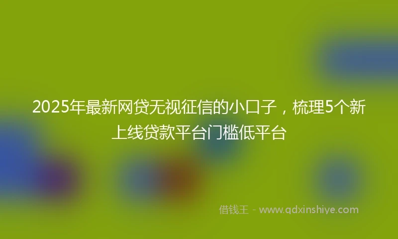 2025年最新网贷无视征信的小口子，梳理5个新上线贷款平台门槛低平台