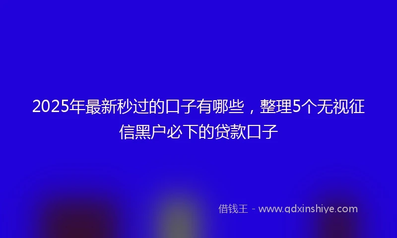 2025年最新秒过的口子有哪些，整理5个无视征信黑户必下的贷款口子