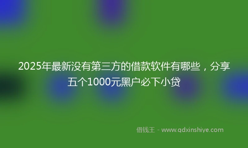 2025年最新没有第三方的借款软件有哪些，分享五个1000元黑户必下小贷