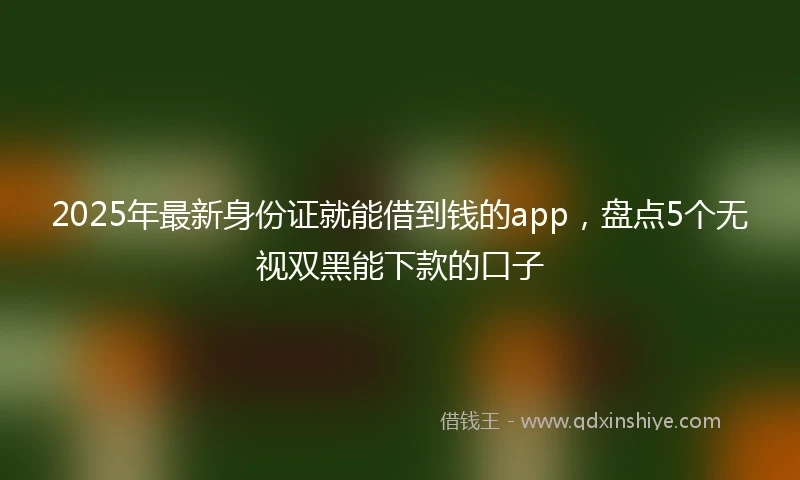 2025年最新身份证就能借到钱的app，盘点5个无视双黑能下款的口子