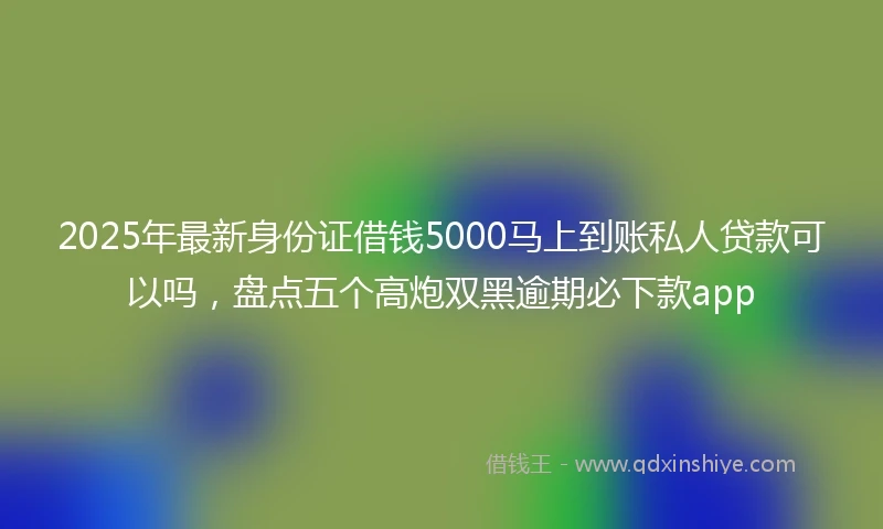 2025年最新身份证借钱5000马上到账私人贷款可以吗,盘点五个高炮双黑逾期必下款app