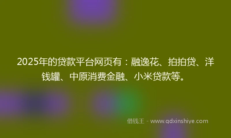 2025年的贷款平台网页有：融逸花、拍拍贷、洋钱罐、中原消费金融、小米贷款等。