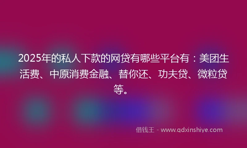 2025年的私人下款的网贷有哪些平台有：美团生活费、中原消费金融、替你还、功夫贷、微粒贷等。