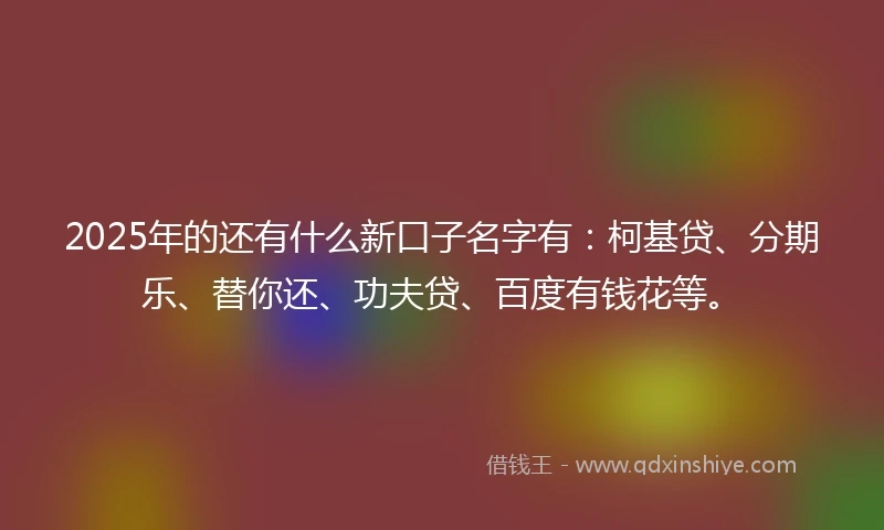 2025年的还有什么新口子名字有:柯基贷、分期乐、替你还、功夫贷、百度有钱花等。