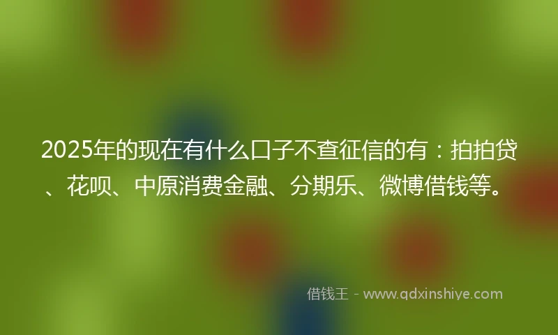 2025年的现在有什么口子不查征信的有：拍拍贷、花呗、中原消费金融、分期乐、微博借钱等。