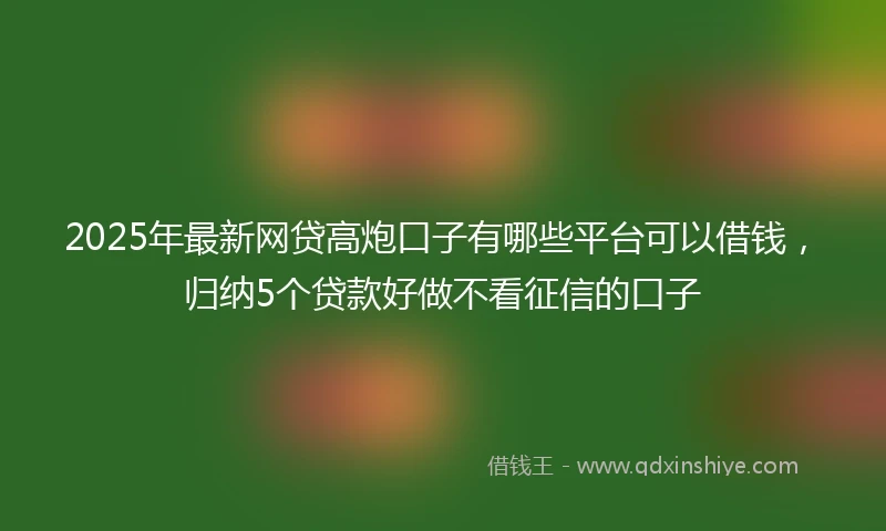 2025年最新网贷高炮口子有哪些平台可以借钱，归纳5个贷款好做不看征信的口子