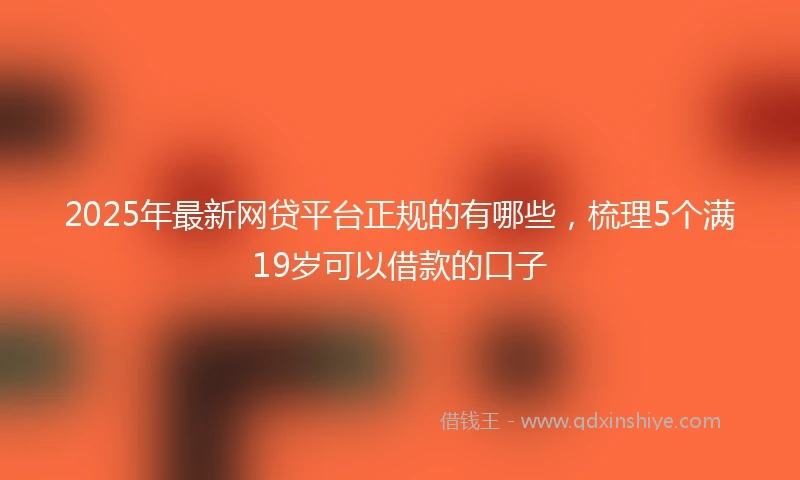 2025年最新网贷平台正规的有哪些，梳理5个满19岁可以借款的口子