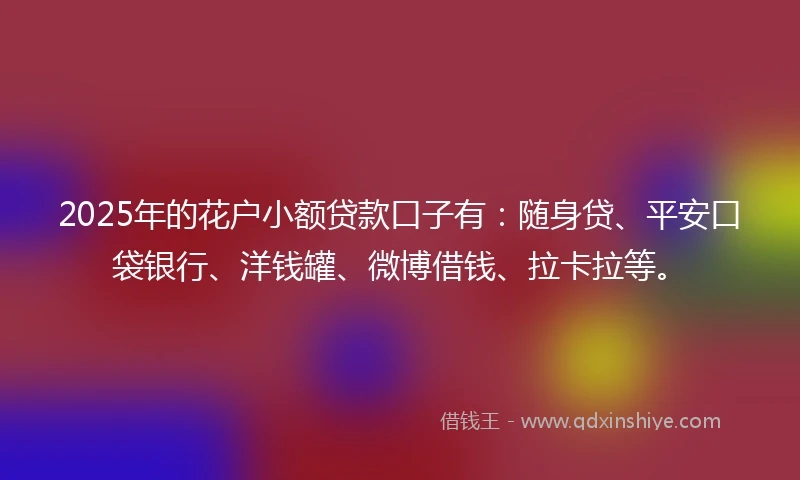 2025年的花户小额贷款口子有：随身贷、平安口袋银行、洋钱罐、微博借钱、拉卡拉等。