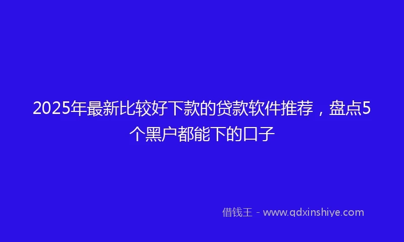 2025年最新比较好下款的贷款软件推荐，盘点5个黑户都能下的口子