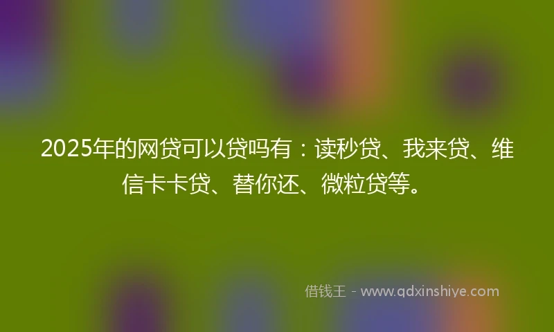 2025年的网贷可以贷吗有：读秒贷、我来贷、维信卡卡贷、替你还、微粒贷等。