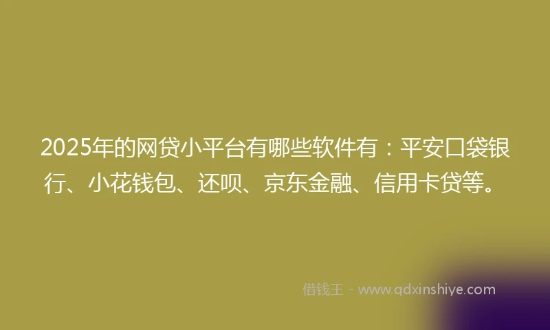 2025年的网贷小平台有哪些软件有：平安口袋银行、小花钱包、还呗、京东金融、信用卡贷等。
