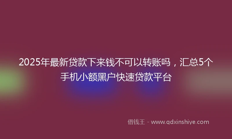 2025年最新贷款下来钱不可以转账吗，汇总5个手机小额黑户快速贷款平台