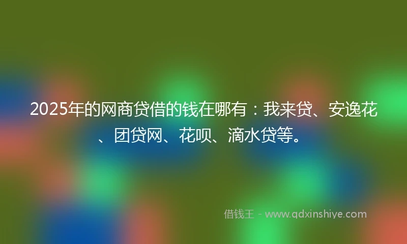 2025年的网商贷借的钱在哪有：我来贷、安逸花、团贷网、花呗、滴水贷等。