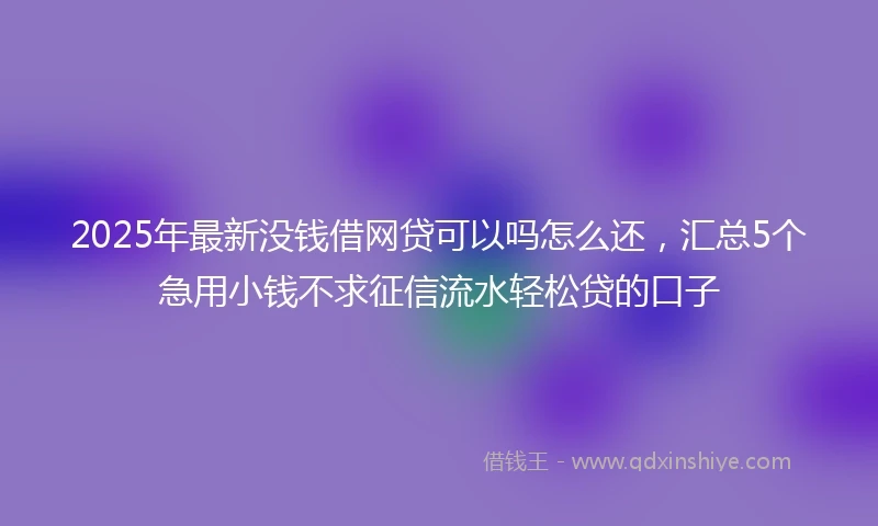 2025年最新没钱借网贷可以吗怎么还，汇总5个急用小钱不求征信流水轻松贷的口子
