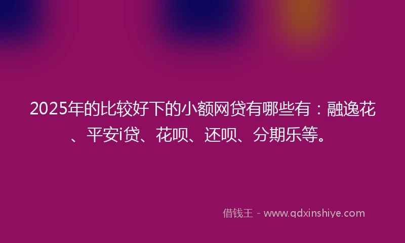 2025年的比较好下的小额网贷有哪些有：融逸花、平安i贷、花呗、还呗、分期乐等。