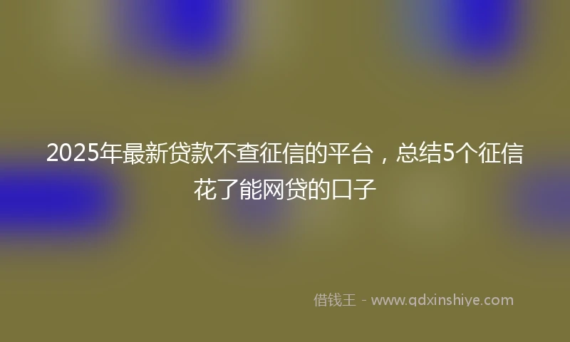 2025年最新贷款不查征信的平台，总结5个征信花了能网贷的口子