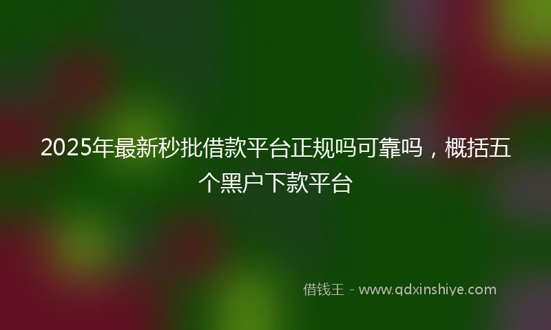 2025年最新秒批借款平台正规吗可靠吗，概括五个黑户下款平台