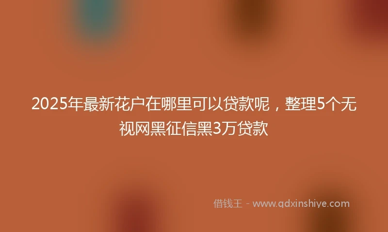 2025年最新花户在哪里可以贷款呢，整理5个无视网黑征信黑3万贷款