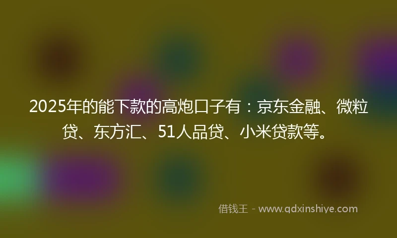 2025年的能下款的高炮口子有：京东金融、微粒贷、东方汇、51人品贷、小米贷款等。