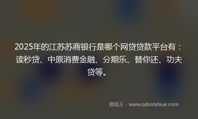 2025年的江苏苏商银行是哪个网贷贷款平台有：读秒贷、中原消费金融、分期乐、替你还、功夫贷等。