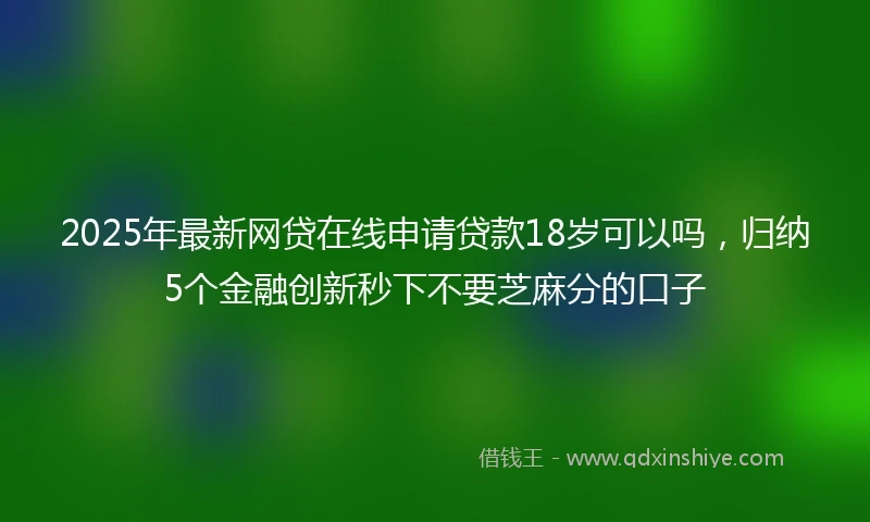 2025年最新网贷在线申请贷款18岁可以吗，归纳5个金融创新秒下不要芝麻分的口子
