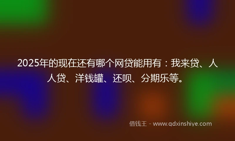 2025年的现在还有哪个网贷能用有：我来贷、人人贷、洋钱罐、还呗、分期乐等。