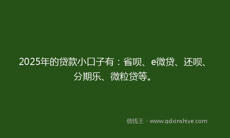 2025年的贷款小口子有：省呗、e微贷、还呗、分期乐、微粒贷等。