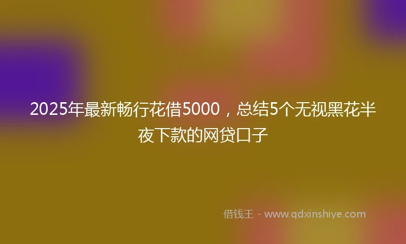 2025年最新畅行花借5000，总结5个无视黑花半夜下款的网贷口子