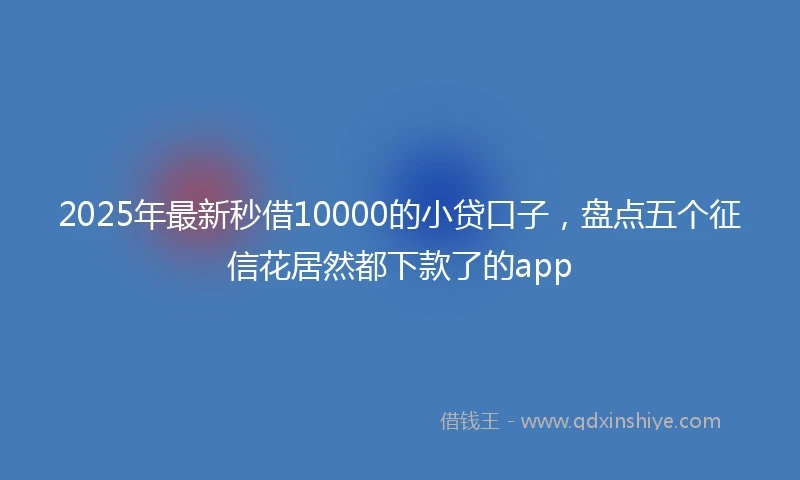 2025年最新秒借10000的小贷口子，盘点五个征信花居然都下款了的app