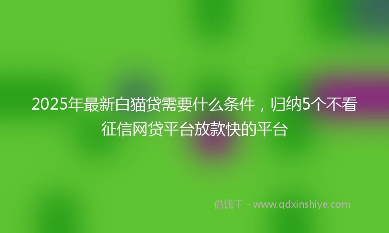 2025年最新白猫贷需要什么条件，归纳5个不看征信网贷平台放款快的平台