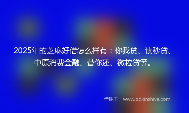 2025年的芝麻好借怎么样有：你我贷、读秒贷、中原消费金融、替你还、微粒贷等。