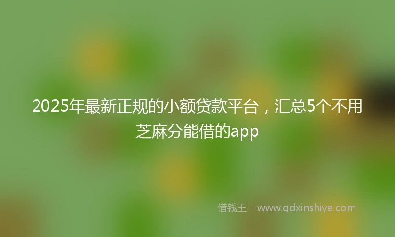2025年最新正规的小额贷款平台，汇总5个不用芝麻分能借的app