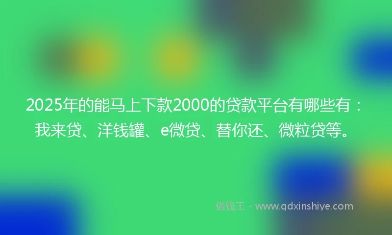 2025年的能马上下款2000的贷款平台有哪些有：我来贷、洋钱罐、e微贷、替你还、微粒贷等。