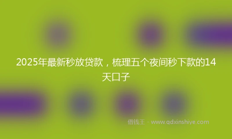 2025年最新秒放贷款，梳理五个夜间秒下款的14天口子