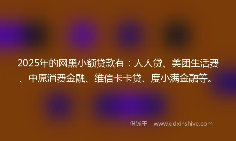 2025年的网黑小额贷款有：人人贷、美团生活费、中原消费金融、维信卡卡贷、度小满金融等。