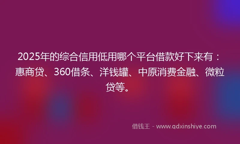 2025年的综合信用低用哪个平台借款好下来有：惠商贷、360借条、洋钱罐、中原消费金融、微粒贷等。