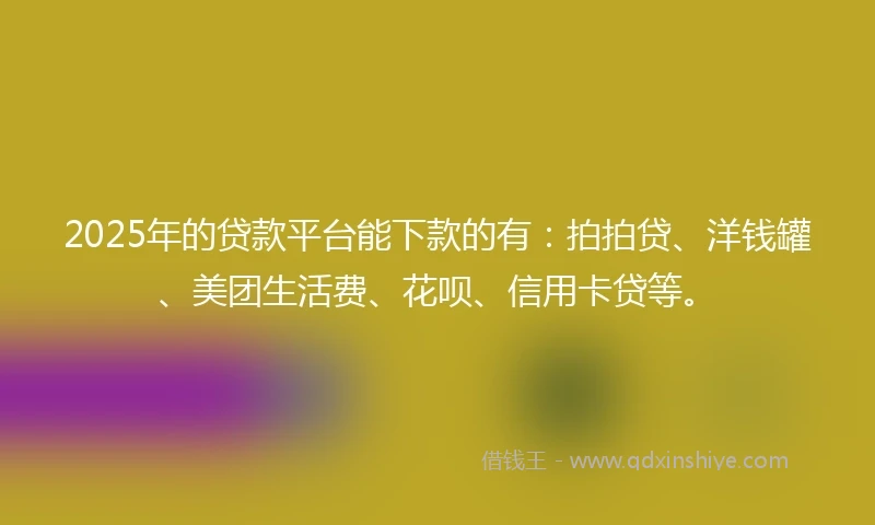 2025年的贷款平台能下款的有：拍拍贷、洋钱罐、美团生活费、花呗、信用卡贷等。