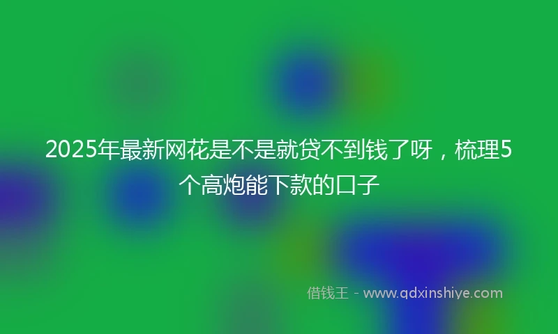 2025年最新网花是不是就贷不到钱了呀，梳理5个高炮能下款的口子