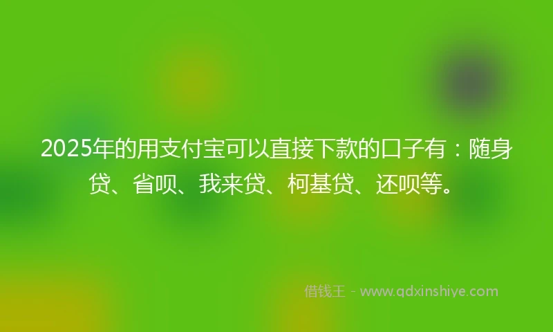 2025年的用支付宝可以直接下款的口子有：随身贷、省呗、我来贷、柯基贷、还呗等。