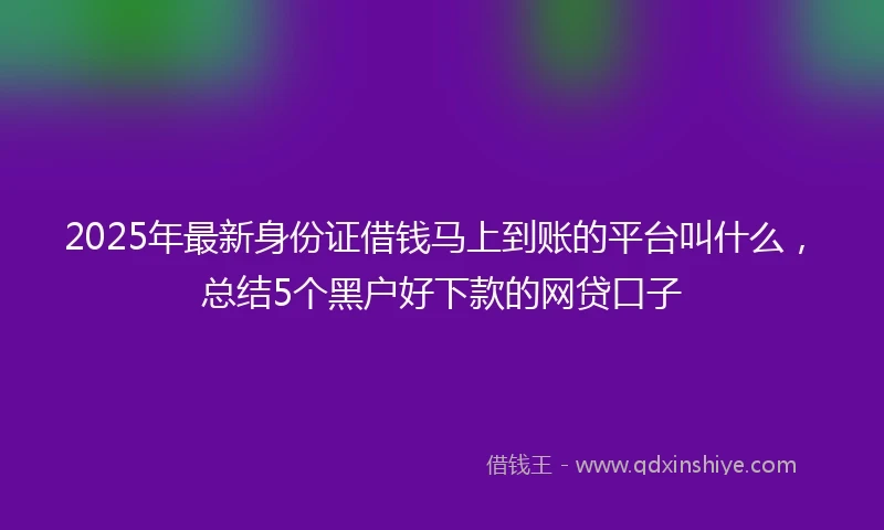 2025年最新身份证借钱马上到账的平台叫什么，总结5个黑户好下款的网贷口子